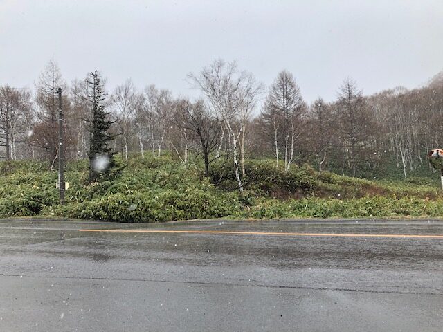 雪の志賀高原